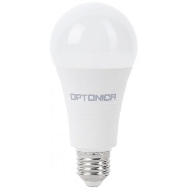 LED lemputė E27 A60 19W, šalta balta šviesa