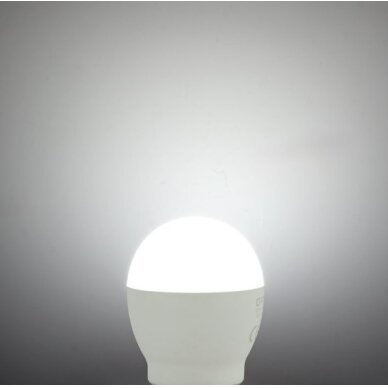 LED Bulb E27 G46 10W, White Light 1