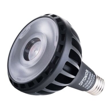 LED Bulb E27 PAR30 25W, White Light 2
