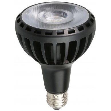 LED lemputė E27 PAR30 25W, šilta balta šviesa