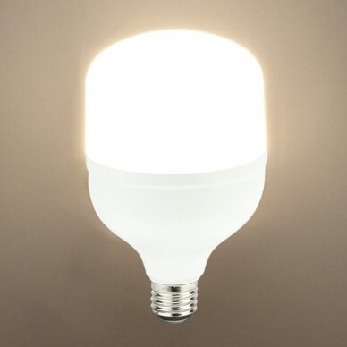 LED Bulb E27 T100 30W, Neutral Light 2