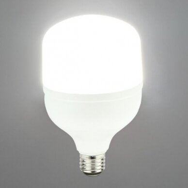 LED Bulb E27 T100 30W, White Light 2
