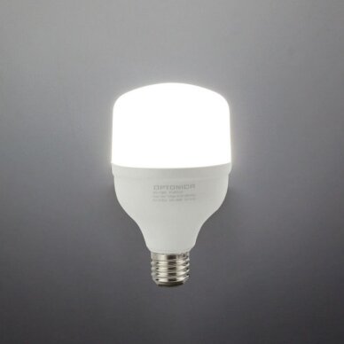 LED Bulb E27 T80 24W, Neutral Light 1