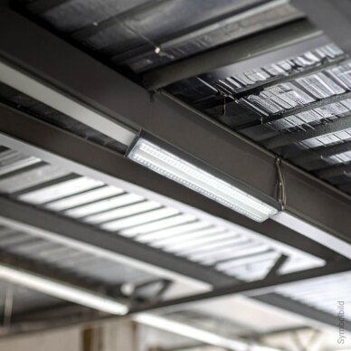 LED Linear High Bay Light, 100W, White Light, IP65, IK08 5