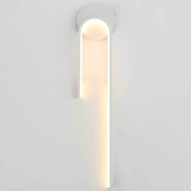 LED Ceiling Lamp, 10W, White, Warm Light 2