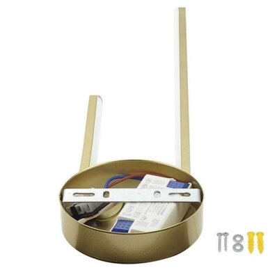 LED Ceiling Lamp, 10W, Satin Gold, Warm Light 1