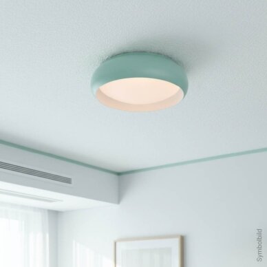 LED lubų šviestuvas, 12W, baltas/pilkai žydras, CCT šviesa 5