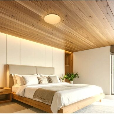 LED Ceiling Light, 12W, DIP-Switch, Matt Cover, CCT 4