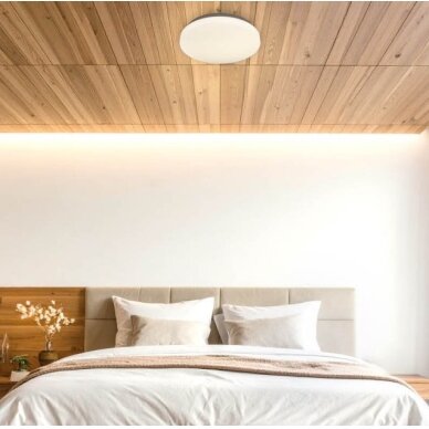 LED Ceiling Light, 12W, DIP-Switch, Star Cover, CCT 4