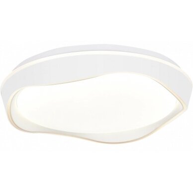 LED Ceiling Light, 20W, White, Memory, Remote Control, 3CCT