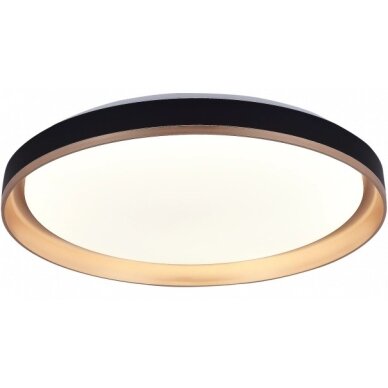 LED Ceiling Light, 20W, Black/Gold, Memory, Remote Control, 3CCT