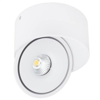 LED Downlight, 20W, Round, Rotatable, White, CCT 1