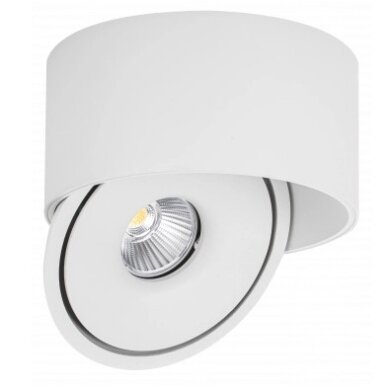 LED Downlight, 20W, Round, Rotatable, White, CCT