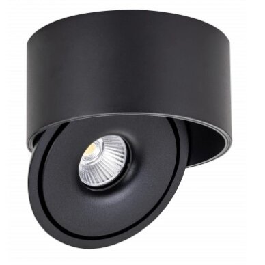 LED Downlight, 20W, Round, Rotatable, Black, CCT