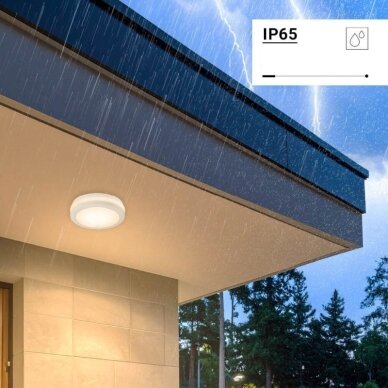 LED lubų šviestuvas, 20W, baltas, CCT šviesa, mikrobanginis jutiklis 3
