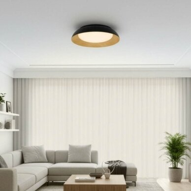LED Ceiling Light, 24W, White/Black/Wood, CCT Light 4