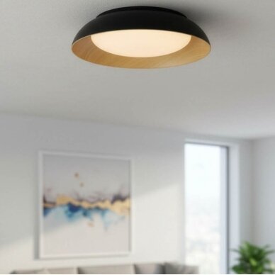 LED Ceiling Light, 24W, White/Black/Wood, CCT Light 5