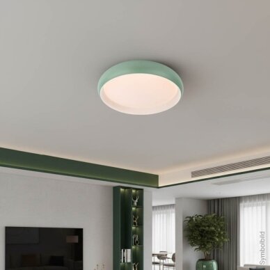 LED Ceiling Light, 24W, White/Reseda, CCT Light 3