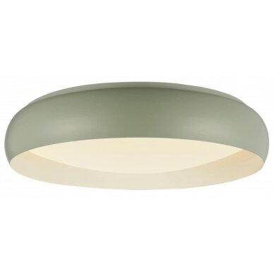 LED Ceiling Light, 24W, White/Reseda, CCT Light