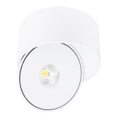 LED Downlight, 30W, Round, Rotatable, White, CCT 1