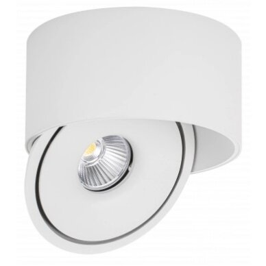 LED Downlight, 30W, Round, Rotatable, White, CCT