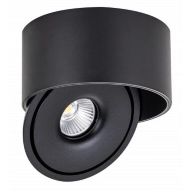 LED Downlight, 30W, Round, Rotatable, Black, CCT