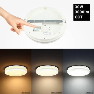 LED Outdoor Ceiling Light, White, 30W, CCT 2