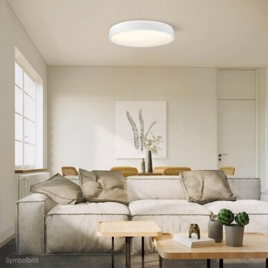 LED lubų šviestuvas, 30W, baltas, neutrali balta šviesa 3