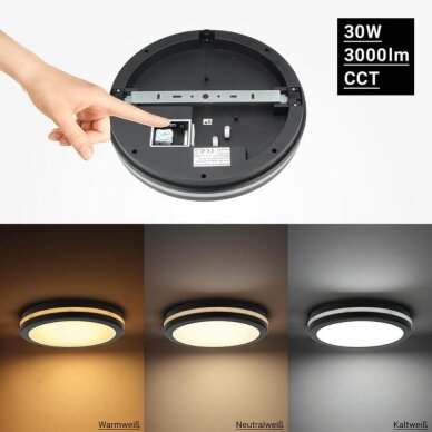 LED Outdoor Ceiling Light, Black, 30W, CCT 2