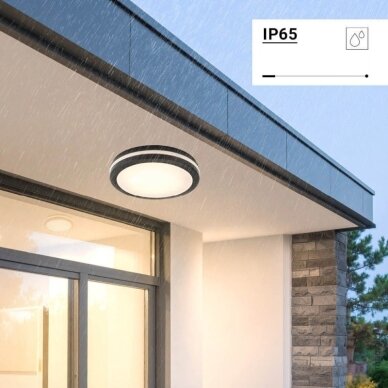 LED Outdoor Ceiling Light, Black, 30W, CCT 3