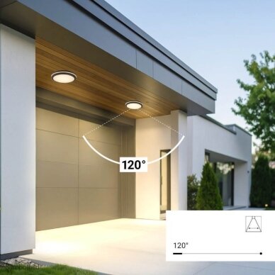 LED Outdoor Ceiling Light, Black, 30W, CCT 4