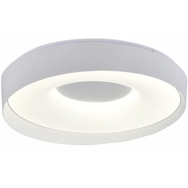 LED lubų šviestuvas, 36W, apvalus, pilkas, atmintis, nuotolinis valdymas, CCT šviesa LED lubų šviestuvas, 36W, apvalus, pilkas, atmintis, nuotolinis valdymas, CCT šviesa