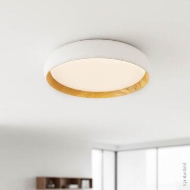LED Ceiling Light, 36W, White/Wood, CCT Light 4