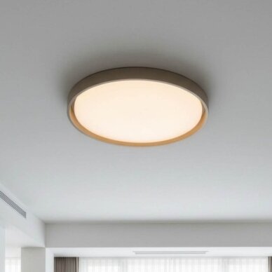 LED Ceiling Light, 36W, White/Taupe, CCT Light 5