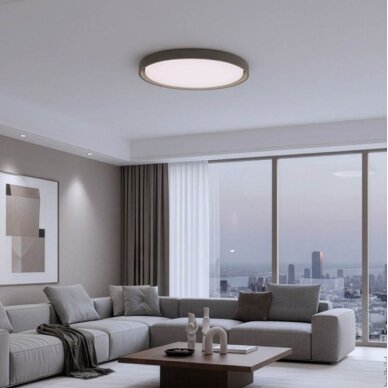 LED Ceiling Light, 36W, White/Gray, CCT Light 4