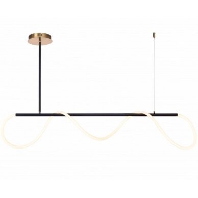 LED Ceiling Lamp, 36W, Black, Warm Light