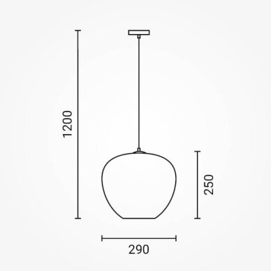 LED lubų šviestuvas, 3D stiklas, D290mm, chrominės bangelės 2