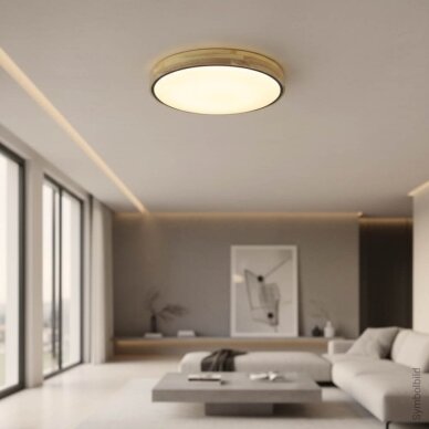 LED lubų šviestuvas, 60W, juodas/medžio, CCT šviesa, nuotolinis valdymas 4