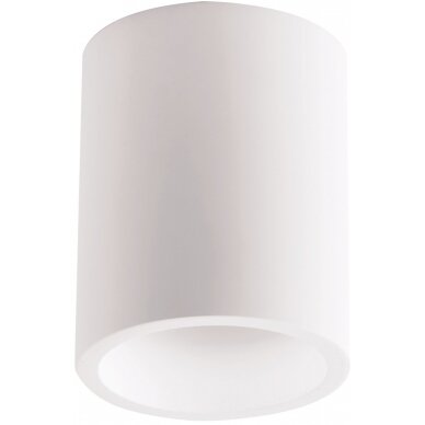 LED lubų šviestuvas, apvalus, baltas