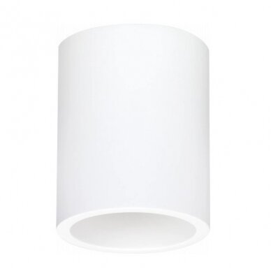 LED lubų šviestuvas, apvalus, baltas 1
