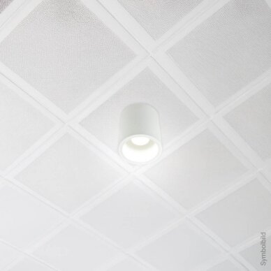 LED lubų šviestuvas, apvalus, baltas 2