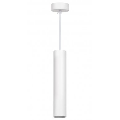 LED lubų šviestuvas, baltas, 300mm