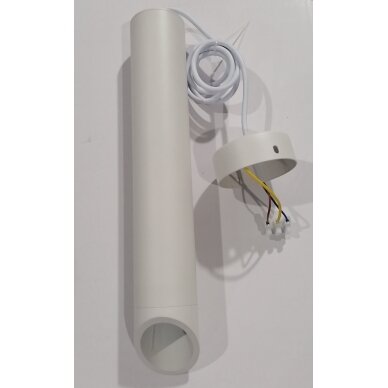 LED lubų šviestuvas, baltas, reflektorius baltas, 300mm 1