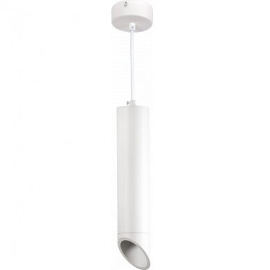 LED lubų šviestuvas, baltas, reflektorius baltas, 300mm 2