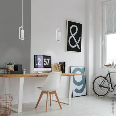 LED Hanging Fixture Fitting, White Body, with Bracket, 200mm 1