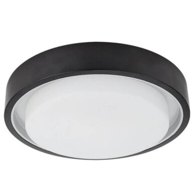 LED Outdoor Ceiling Light, Black, 30W, Warm Light 1