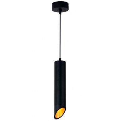 LED lubų šviestuvas, juodas, reflektorius auksinis, 300mm