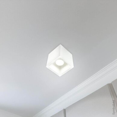 LED lubų šviestuvas, kvadratinis, baltas 2