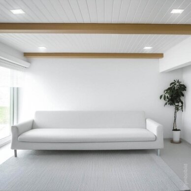 LED lubų šviestuvas, kvadratinis, gipsinis, matinis stiklas, 1 lizdas 5