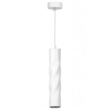 LED lubų šviestuvas, suktas, baltas, 300mm